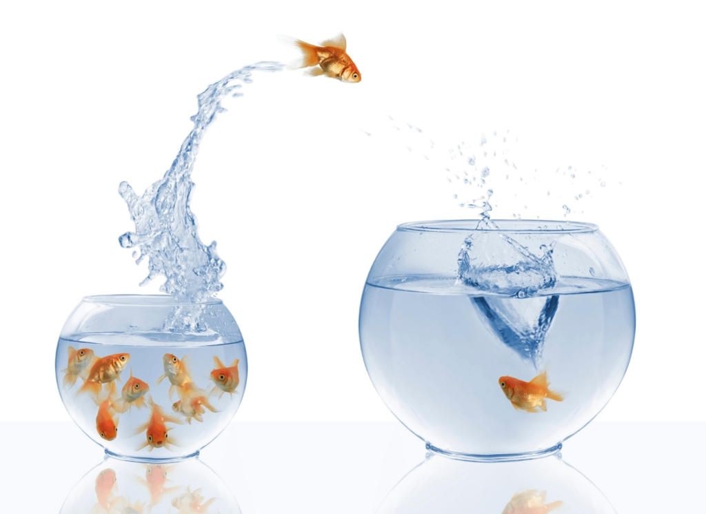 habit unbelief
